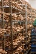 You Are What You Eat: A Twin Experiment Season 1 Episode 4