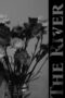 The River (2024)